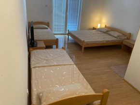Vila ViV Srebrno Jezero